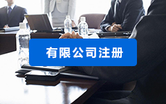 有限责任公司注册